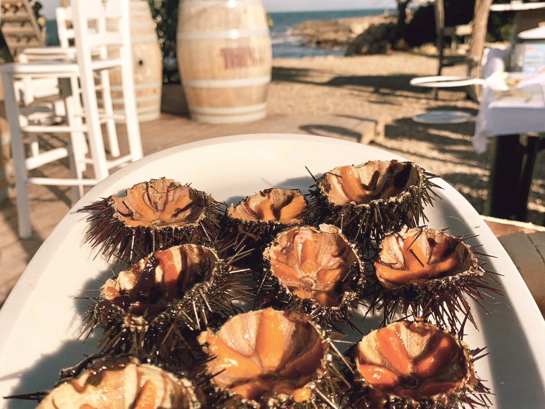 experiences-in-puglia-tours-18-2